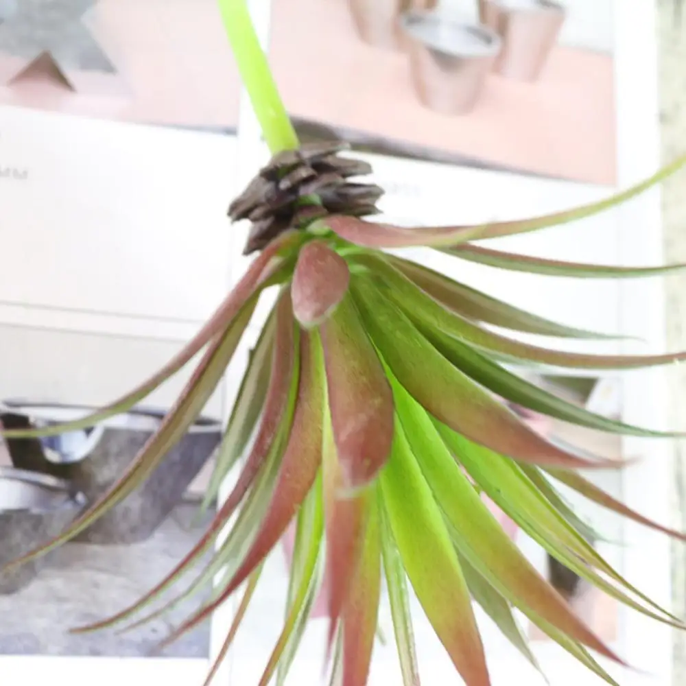 Зеленый розовый желтый Зебра алоэ искусственные суккуленты для дома растения DIY