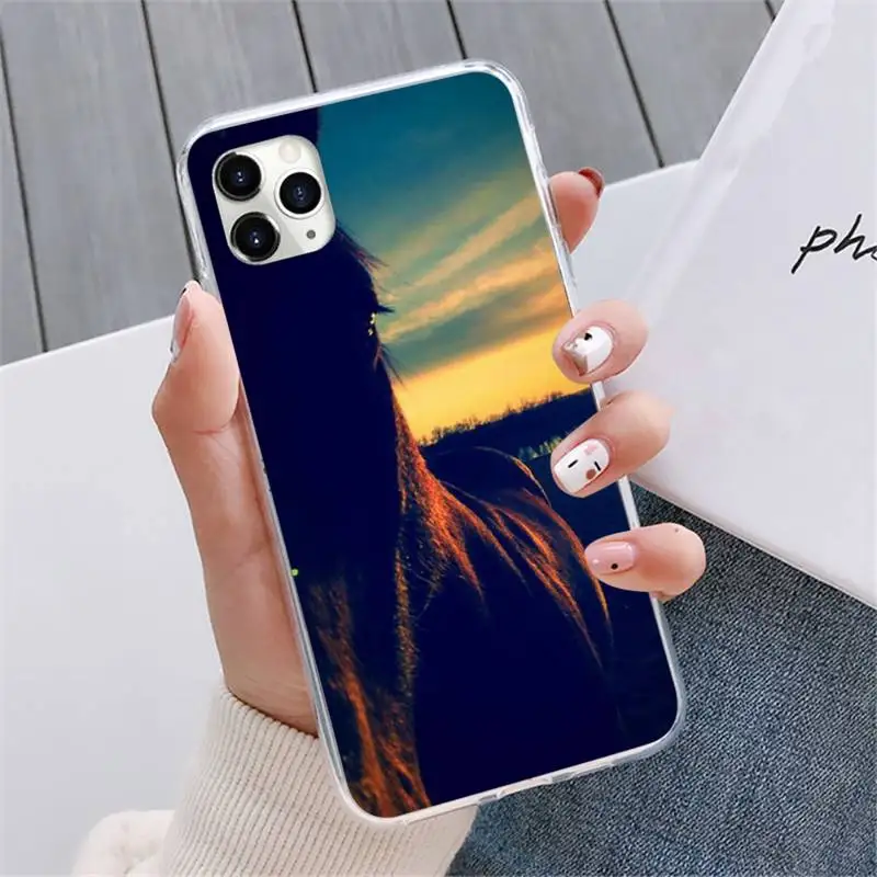 

Frederik The Great beauty horse Phone Cases For iphone 12 5 5s 5c se 6 6s 7 8 plus x xs xr 11 pro max mini