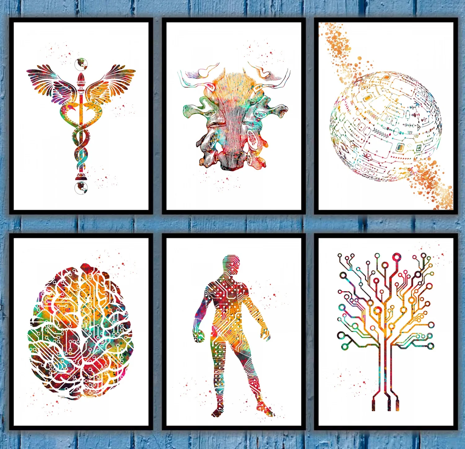 Caduceus Cervical Ligaments Circuit Ball Board Man Tree Brain Anatomical Medical And Science Poster |