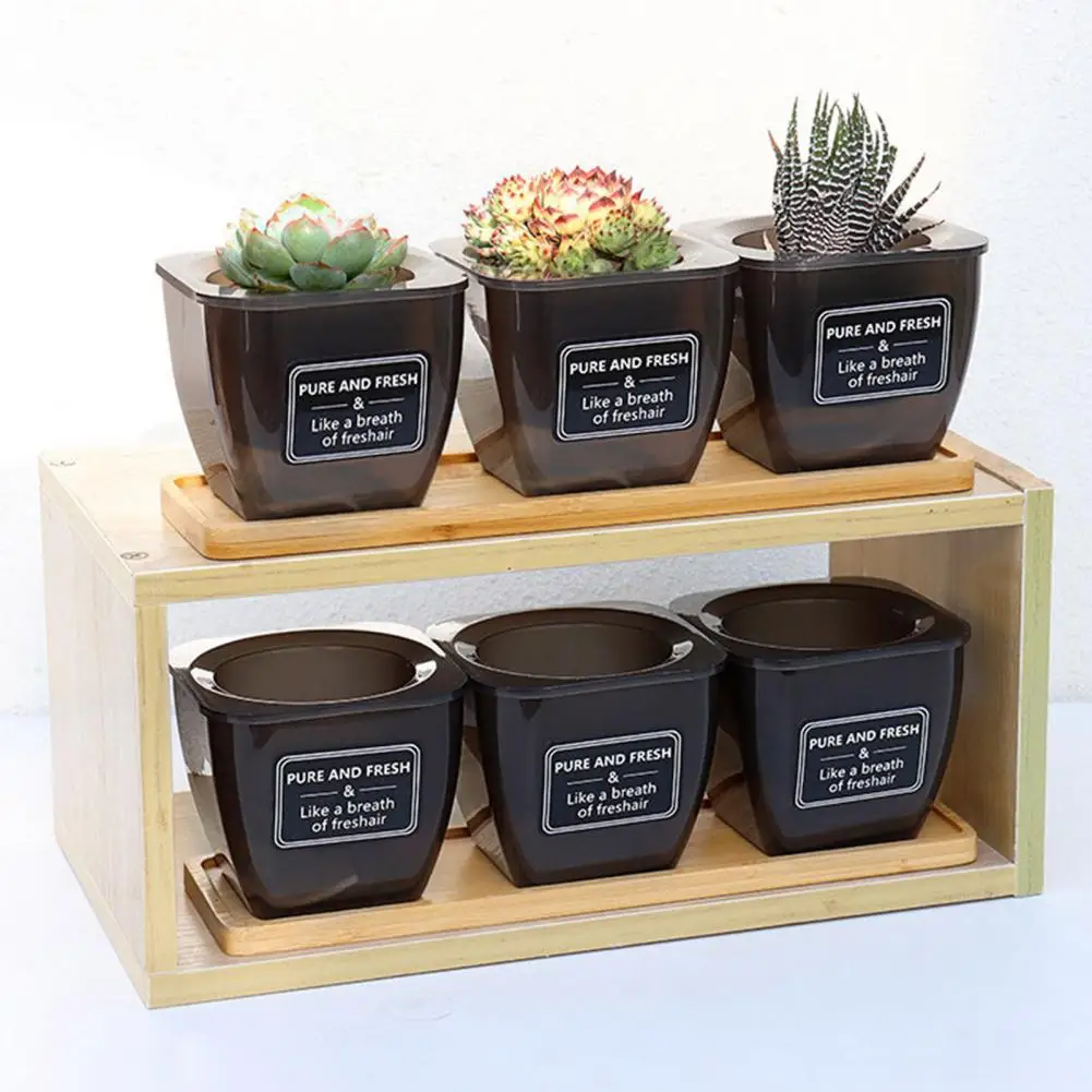 

Succulent Flower Pots Automatic Water Absorption Flowerpot with Tray Plant Tool