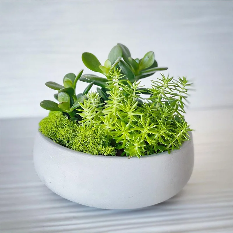 Большая силиконовая форма в форме чаши для растений сделай сам цементного цветка