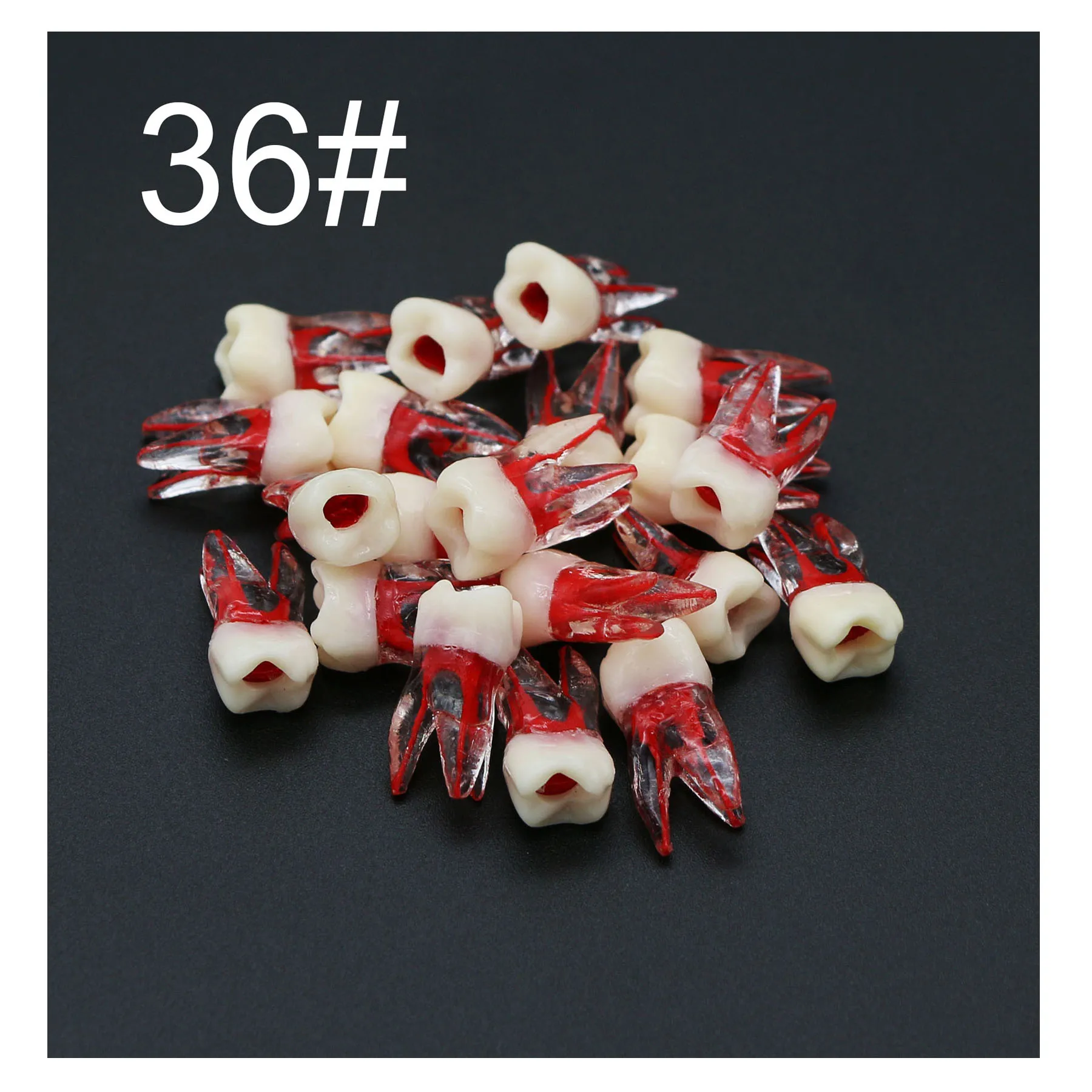 Новый стоматологический молярный эндокорневый канал модель для обучения RCT блок