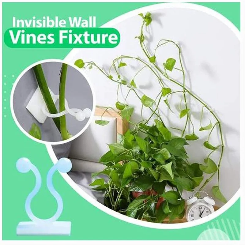 

10pcs Invisible Wall Sticky Rattan Clamp Clips Wall Vine Climbing Sticky Hook Rattan Fixed Clip Bracket Self-adhesive Garden