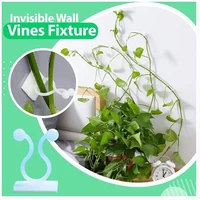 10pcs invisible wall sticky rattan clamp clips wall vine climbing sticky hook rattan fixed clip bracket self adhesive garden