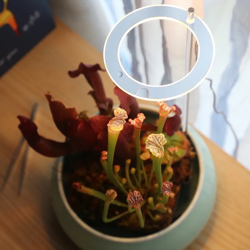 Бытовой рост растений лампа USB порт Ангел кольцо полный спектр солнцеподобных