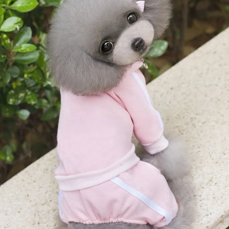 Хлопковая одежда для кошек пальто собак толстая домашних животных чихуахуа