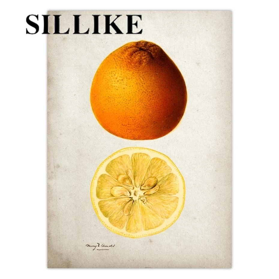 

Fruit Kitchen Poster Vintage Poster Antique Print Pear Apple Orange Pineapple Wall Art Decorative Picture Painting Kraft paper