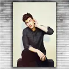 Shawn Mendes музыкальная певица звезда модная красивая 2 шелковая ткань настенный художественный плакат декоративная наклейка яркая
