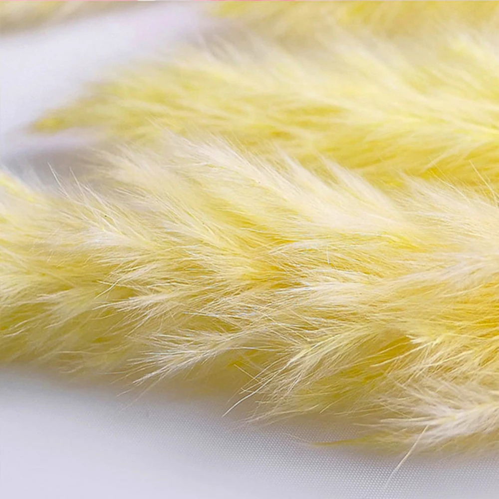 7 шт. натуральные сухие небольшой пампасной травы Phragmites Communis растения