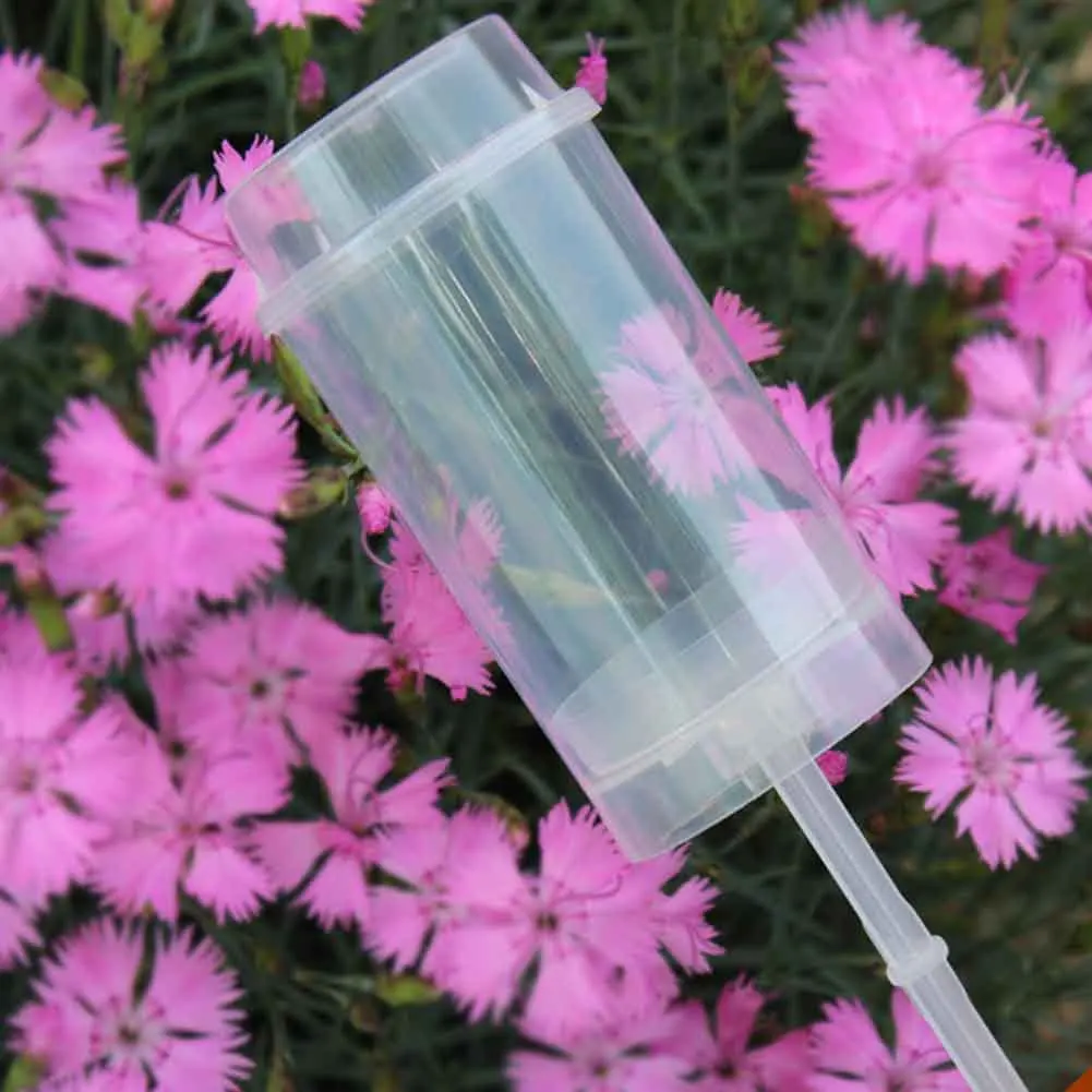 50 шт. контейнер для торта кухонные кексы портативное мороженое сделай сам десерт