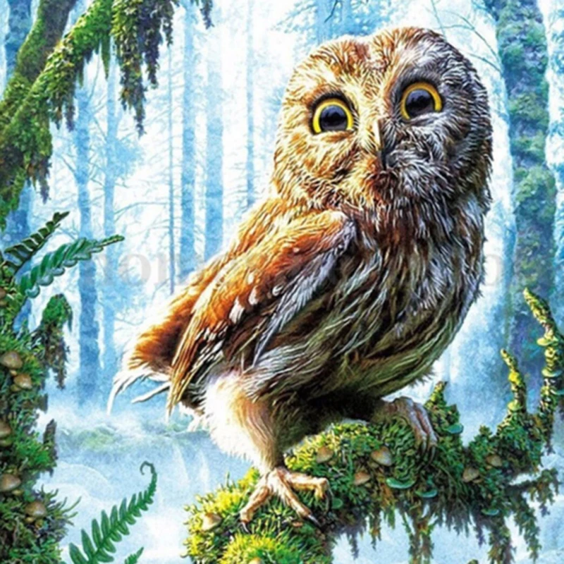 3d Алмазная живопись Сова вышивка алмазная мультфильм круглая картина из смолы