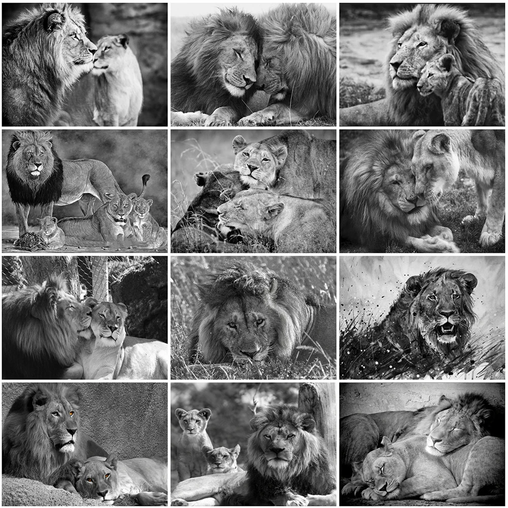 

Evershine 5D алмазная вышивка Черный и белый животные полная площадь Алмазная мозаика львы вышивка крестом картина стразы декор для дома