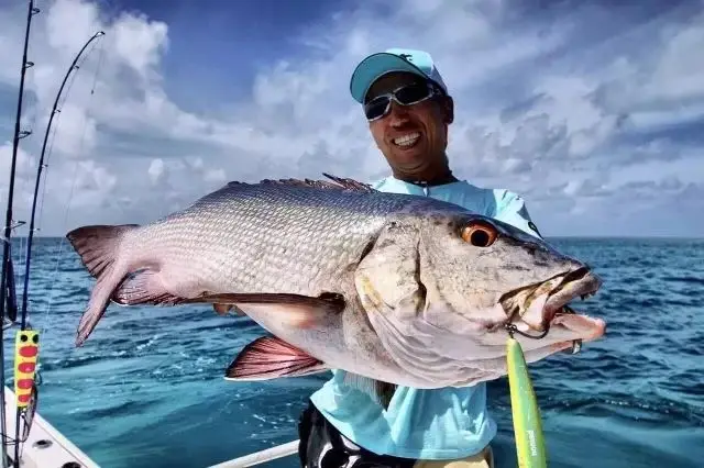 

150g/120g/100g/80g/60g/40g Tenya Kabura Pesca Slider Snapper/Sea Bream Jig Head with Skirt Lead Jig Jigging Lure