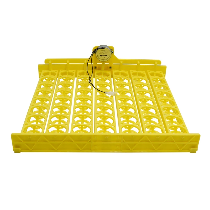 

Egg Incubator Automatic 56 Bird Eggs Duck Chicken Eggs Hatching Machine 220V Incubator Trays with Auto Turn Motor