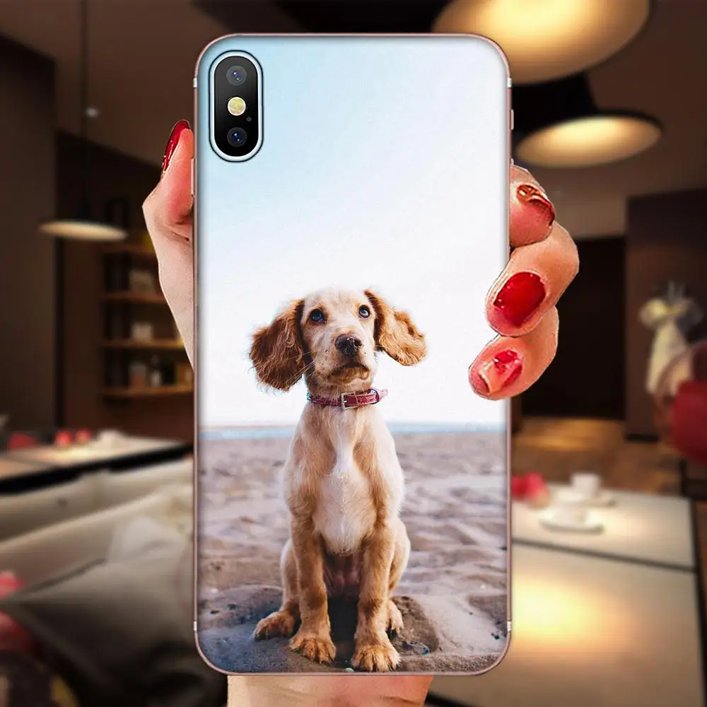 Wolf Dog Soft Tpu Phone Case For Huawei P7 P8 P9 P10 P20 P30 Lite Mini Plus Pro Y9 Prime P Smart Z 2018 2019 | Мобильные телефоны и