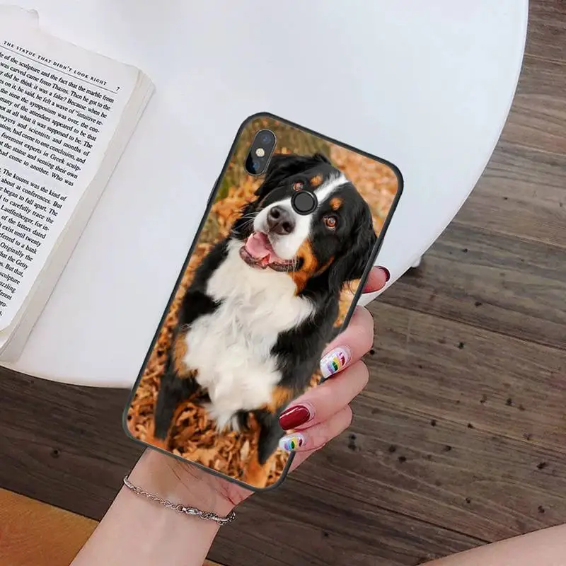 

Bernese Mountain Dog animal Phone Case For Xiaomi Redmi note 7 8 9 t k30 max3 9 s 10 pro lite