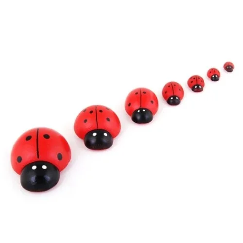 

Modatools Ladybug 7 Li Big 20338S 459699671