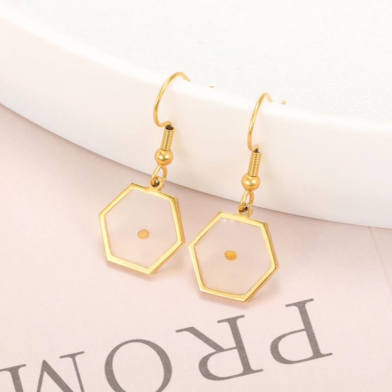 

Metal Chic Seed Open Square Hexagon Drop Earrings for Women Men Stainless Steel Geometric Original Honeycomb Creative Jewelry