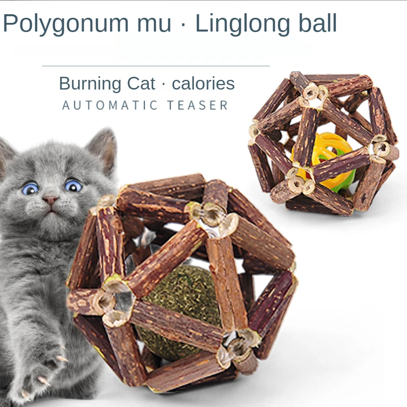 

100%Pure Natural Catnip Pet Cat Toy Molar Toothpaste Twig Clean Teeth Silver Sepak Takraw Cat Snack Stick Bell Ball Pet Supplies