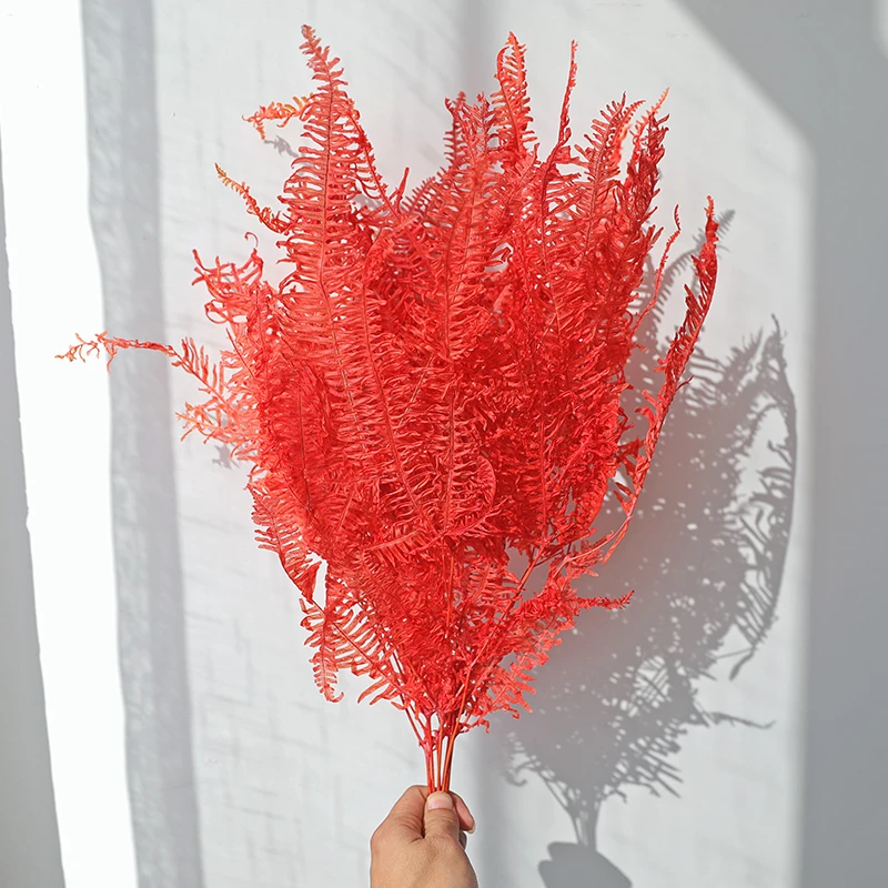 

10 шт. сушеные листья папоротника, сохраненные цветы, зелень, фоновое украшение, украшение для вечерние ринки, день рождения, растения, натура...