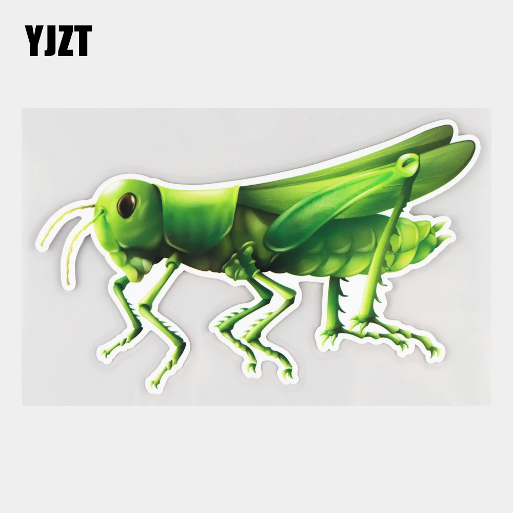 

YJZT 16,9 × 10 см наклейки на автомобиль с изображением насекомого Кузнечика, милые Мультяшные наклейки на бампер с забавным корпусом, декоратив...