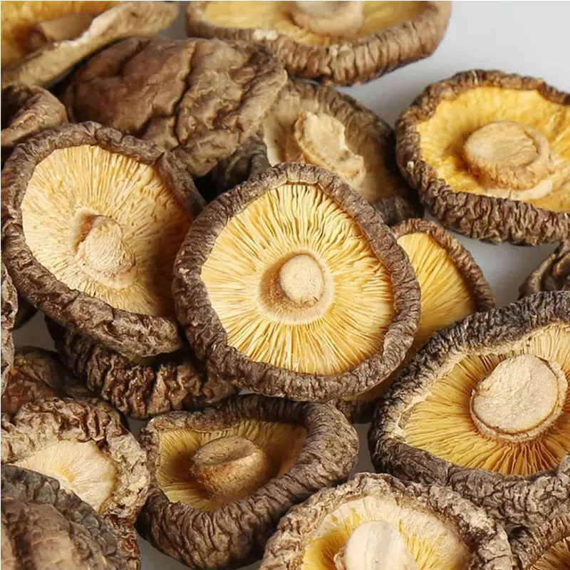 Shiitake Lentinus Edodes Xiang Gu|Блестки для тела| |