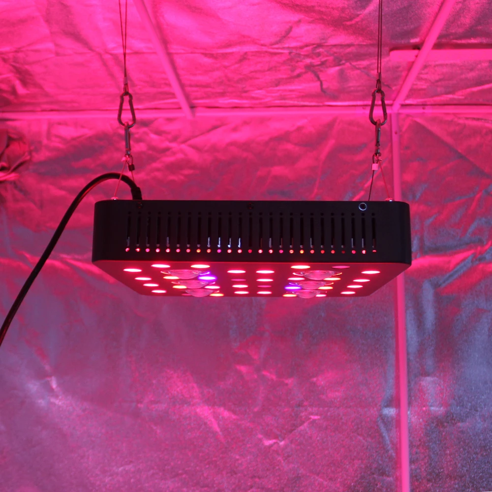

New design Led Board Grow Light 270W full spectrum led grow lights 6cobs led panel light grow for indoor grow