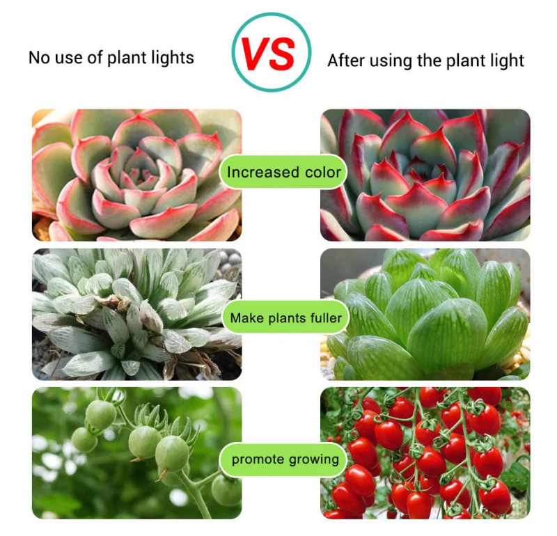 

Growing Lamps USB Plant Light With 5V Plant Growth Light With 2835 Lamp Beads Growth Light Bar Full Spectrum Plant Light