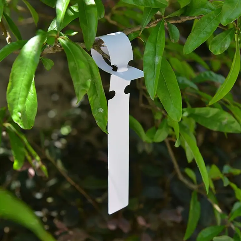 100 Pcs White Plastic Plant Tree Tags Nursery Garden Lables 2x20cm Wrap Around Hanging Tags Nursery Garden Stakes Large Writing