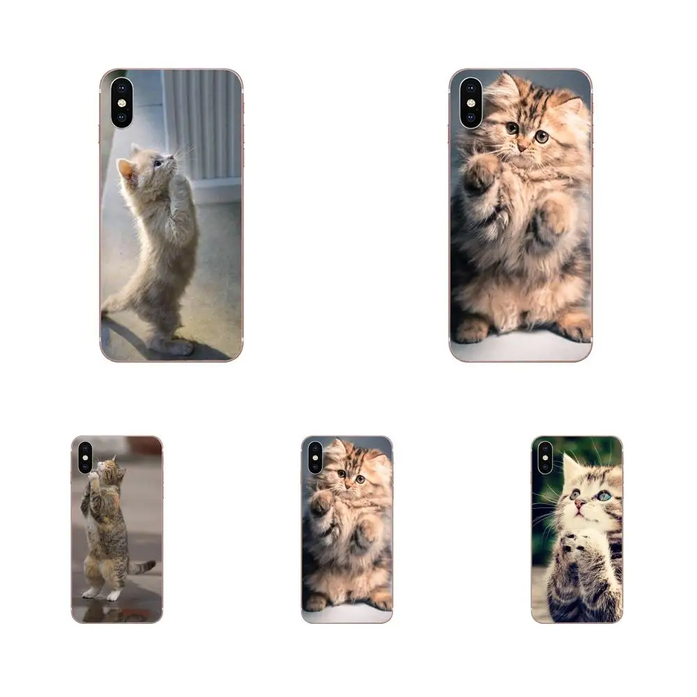 Милые Молящиеся котята коты для Xiao mi 3 4 4C 4i 5 5s 5X6 6X8 SE Pro Lite A1 Max x 2 Note 4|Чехлы-накладки|