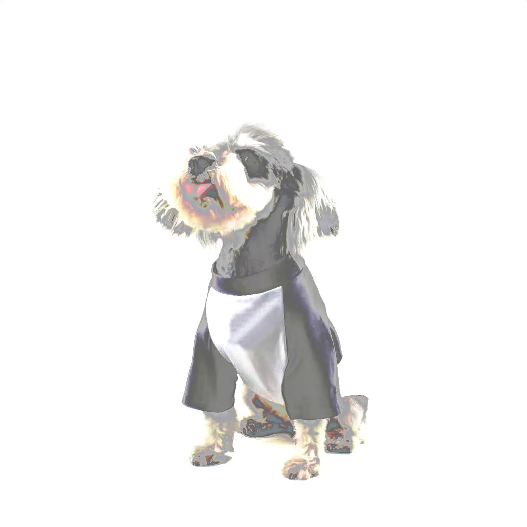 

Designer Dog Clothes Black Graphic Tee Schnauzer Pet Cat Clothing CW655