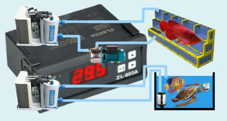 ZL-803A, 220VAC, 30A выход регулятор температуры воды, аквариум термостат, морепродукты машина регулятор температуры