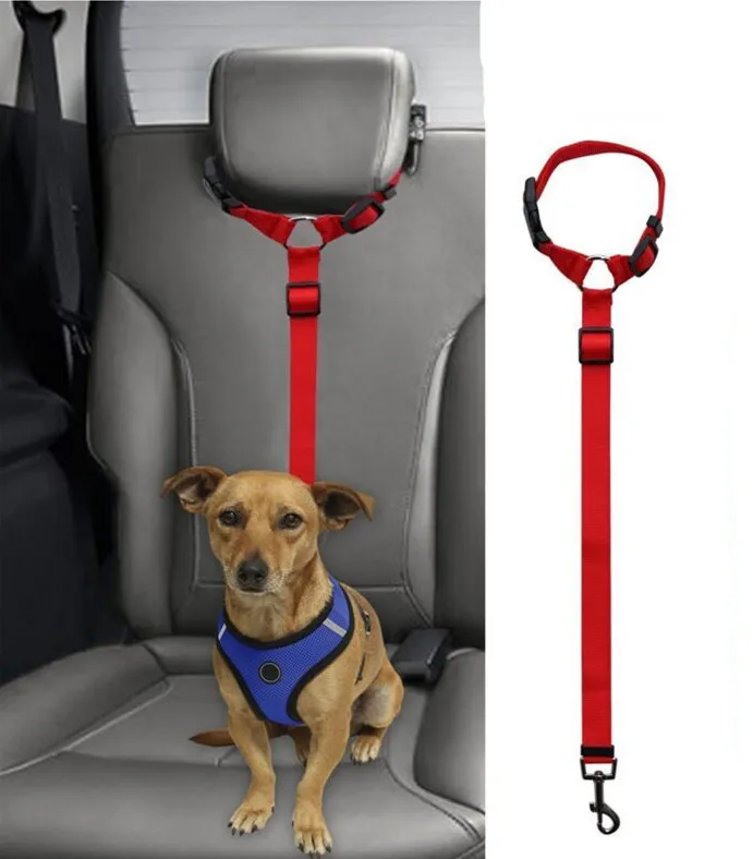 

dog seat belts dogs pets accessories
