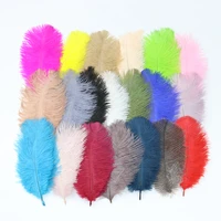 colorful 10 pcs ostrich feathers 15 20cm6 8inches fluffy dyed plumes for wedding accessories party home decoration crafts