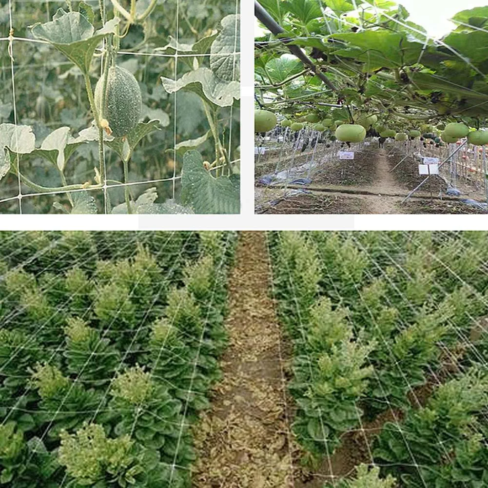 

Cukes Climbing Net Fence Garden Green Beans Grow Net Peas Support Tomatoes