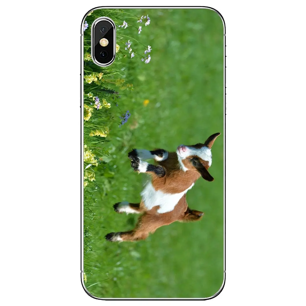 Силиконовый чехол для Xiaomi Redmi 2 S2 3 3S 4 4A 5 5A 6 6A 7A 9 9T 9C 9A Pro Pocophone F1 The-Cutest-Baby-Pygmy-Коза-обои