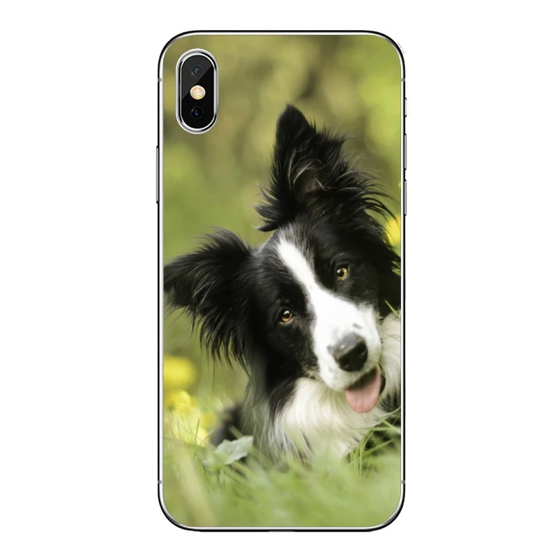 Border Collie милая собака для huawei mate 20 10 9 P30 P20 P10 P9 pro Lite P Smart plus аксессуары чехол для телефона - Цвет: collie-dog-A-05