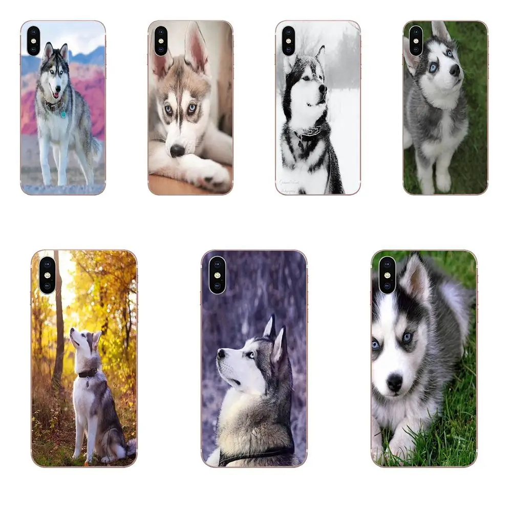 Уникальные милые щенки Сибирского Хаски для HTC Desire 530 626 628 630 816 820 830 One A9 M7 M8 M9 M10 E9 U11
