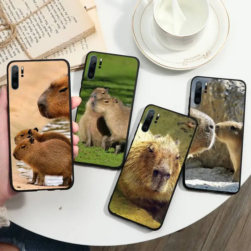 

Capybara cute animal Phone Case For Huawei honor Mate P 10 20 30 40 i 9 8 pro x Lite smart 2019 nova 5t