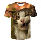 Летняя мужская 3d футболка с животным принтом для мужчинженские 2020 настоящий рюмочка, с принтом с забавным котом короткий рукав плотная футболка 3d дизайн футболка мужской