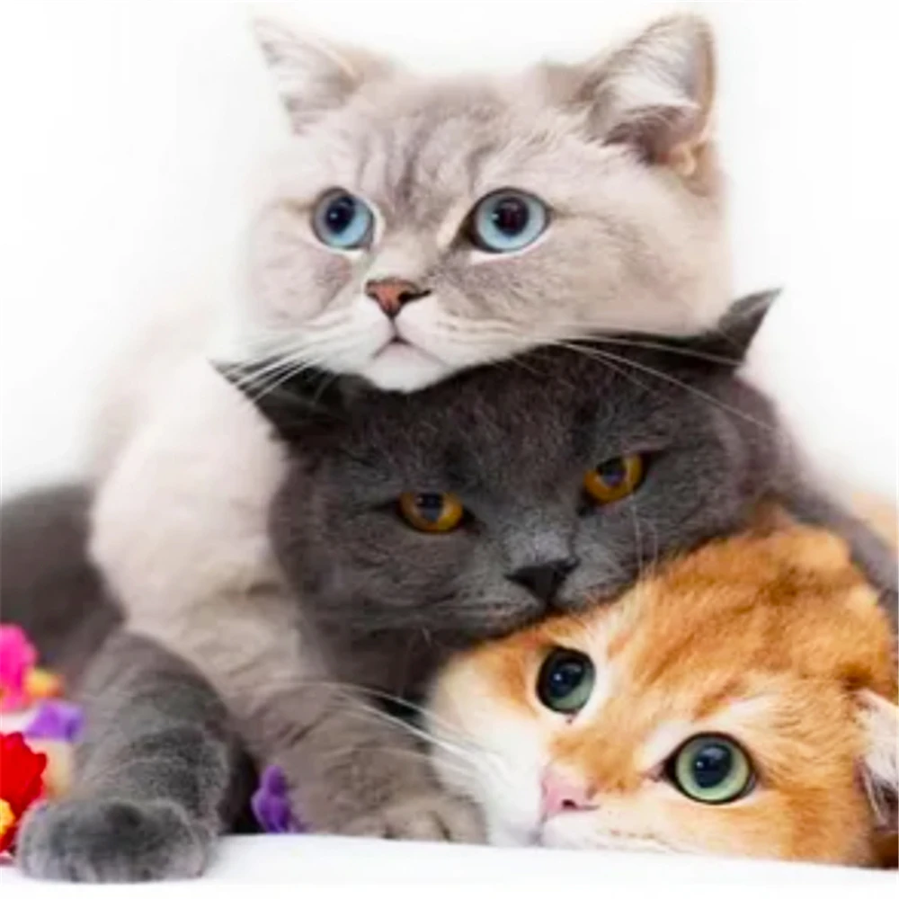 

Animal Cat Printed Water-Soluble Canvas 11CT Cross Stitch Embroidery Full Kit DMC Threads Knitting Handicraft Craft Design