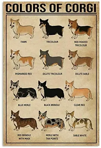 

Цветной постер с изображением коргиса, Настенный декор, Художественная печать, подарок для друга, пиво, винтажный цвет, металлический жестя...