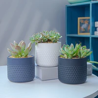 nordic planter simplicity straight modern blackwhitegray matt succulent flower pot green plant pot home office decoration gift