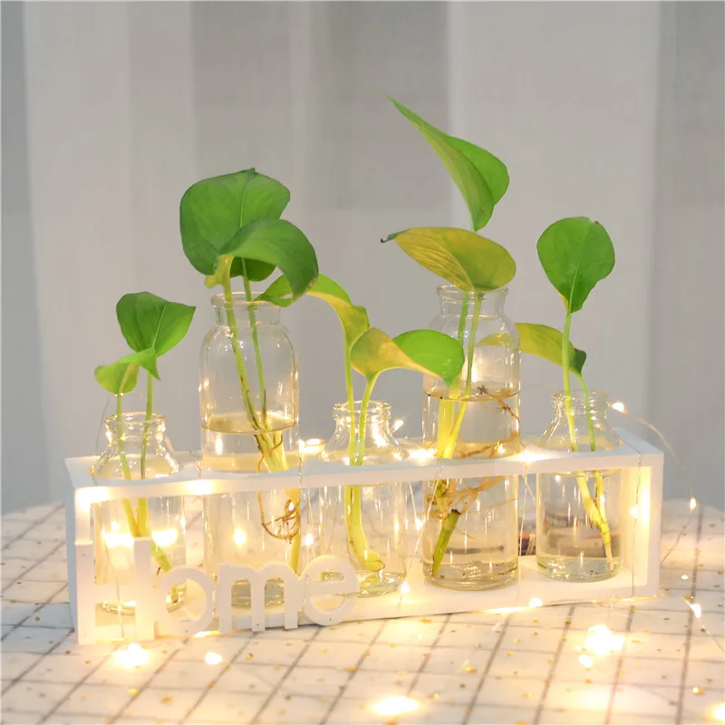 Скандинавский гидропонный ваза для украшения интерьера современный