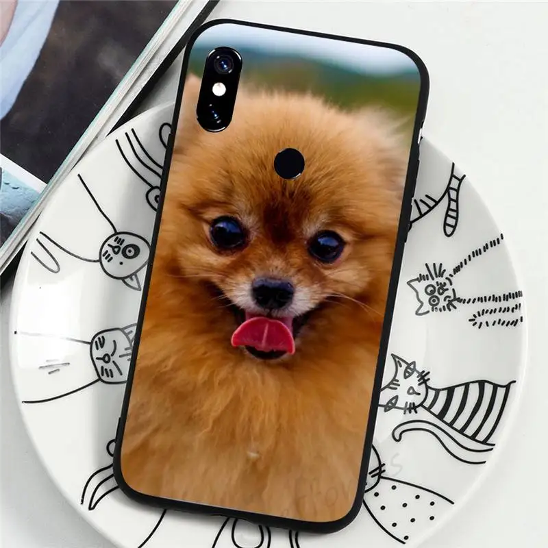 

Pomeranian Pomcute dog high quality Phone Case coque For xiaomi Redmi 5 5A plus 7A 8 note 2 3 4 5 5A 6 7 GO K20 A2