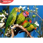 Алмазная живопись HUACAN 5d сделай сам, мозаика с рисунком попугая, животное, домашний декор