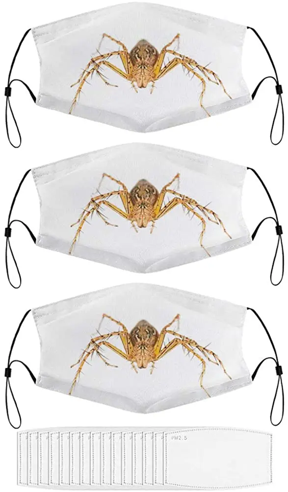 

Adult Mask Spider Unisex Mask Design Dust and Wind Protection Filter Mask.