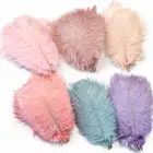 50 шт.лот натуральные страусиные перья для рукоделия, цветные свадебные украшения, аксессуары ручной работы, центральные части стола, декор плюмаса