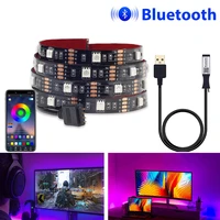 usb bluetooth led strip dc 5v 50cm 1m 2m 3m 5m 24key flexible light lamp rgb 5050 desk decor screen tv background light for home