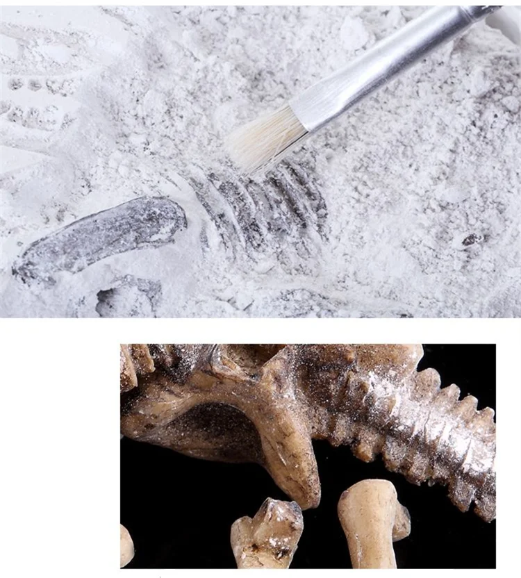 [Забавный] детский археологов копающие Динозавры юрского периода наборы T-Rex и